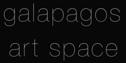 Galapagos Art Space