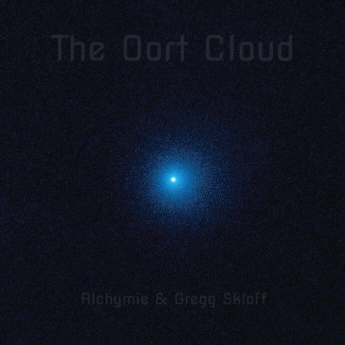 The Oort Cloud