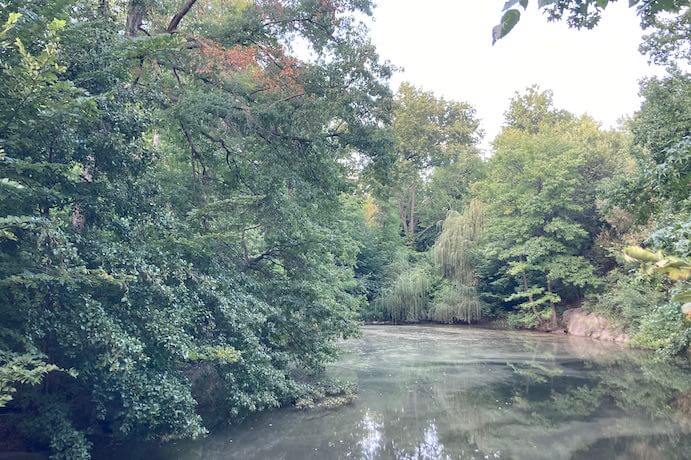 Ellen Reid SOUNDWALK: The Ramble--Photo by Lana Norris