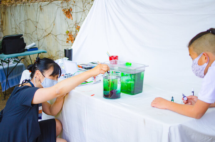 PEER Lab experiments at Covid home office--Photo courtesy Kanishka Mehra/Daily Bruin